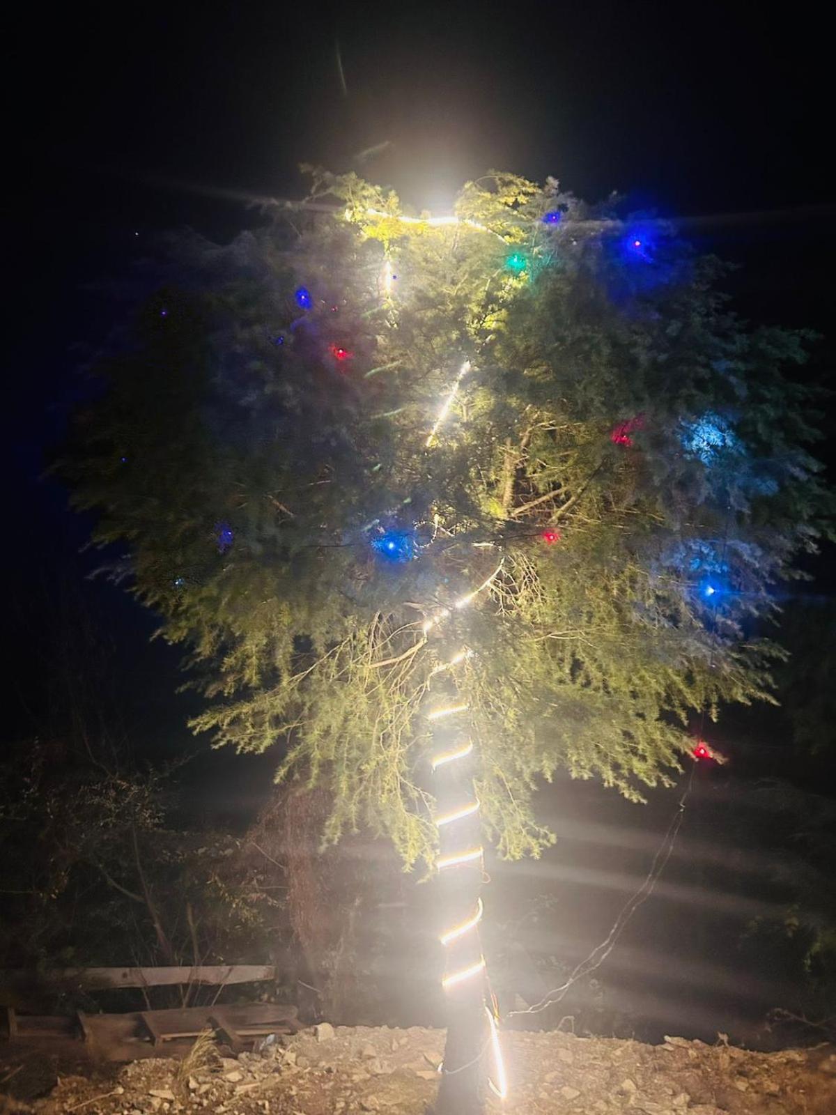 Tree Hub Jibhi Lejlighed Eksteriør billede